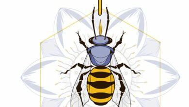 إبر النحل تعالج بالإيجاب مشاكل الروماتيزم وآلام الظهر في بورصة. العلاج يستمر منذ خمس سنوات بنجاح في المستشفى المختص في بورصة.