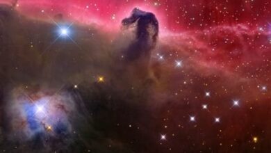 تلسكوب جايمز ويب يبين تفاصيل جديدة عن سحابة Barnard 33، تكشف صورًا واضحة وروعة. علماء يقدرون اندثار هيكلها الكثيف خلال 5 ملايين سنة.