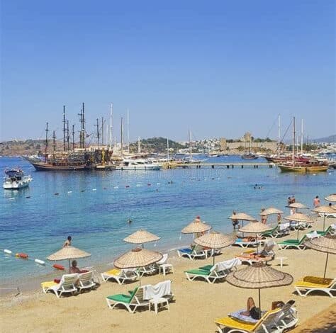 فقمة البحر الأبيض المتوسط توشح شواطئ بودروم خلال رحلة صيد لها، وتم رصدها من قبل المواطنين ووسائل إعلام محلية متعددة.
