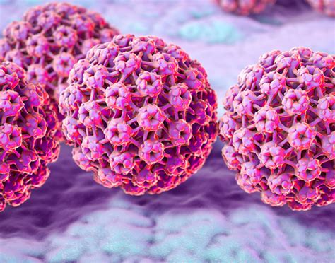 تزايد حالات سرطان الرحم بفيروس HPV في تركيا، بادرت بلدية جاناققاله بحملة تطعيم مجانية للنساء للحد من انتشار الفيروس والمخاطر.