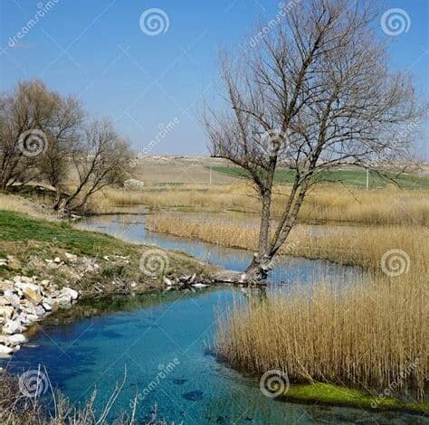 رئيس جمعية يحذر من ندرة مياه نهر ساكاريا الرئيسي في شمال غرب تركيا، داعيًا لحماية الموارد المائية ومكافحة التلوث.