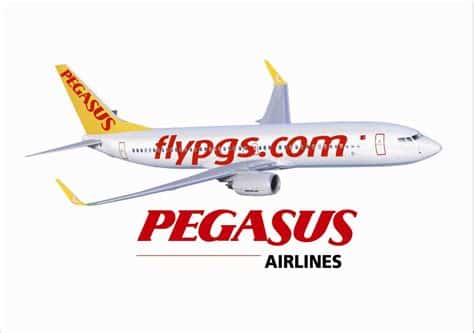 شركات الطيران Pegasus وAJet تعلنان عن حملة بيع تذاكر بأسعار منخفضة إلى وجهات خارجية من 18 يوليو 2024 إلى 30 مارس 2025.