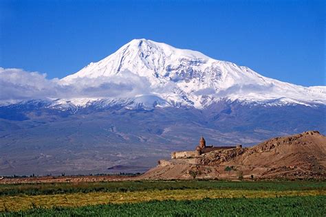 نادي فنربخشة يحقق رقمًا قياسيًا ويمثل تركيا في أولمبياد باريس 2024، تعزية للشعب التركي وإنجاز رياضي تحتفل به النادي.