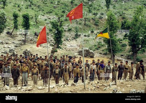 عودة 463 عائلة إيزيدية من دهوك إلى شنگال تحت تهديد PKK. يسعون للاستقرار بالزراعة بعد نزوح من سنجار جراء تنظيم الدولة الإسلامية.