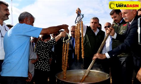 بلدية Şanlıurfa تنجز أعمال الأسفلت في حي أوفاجيك، وتواصل تعزيز بنية الطرق بهدف تحسين البنية التحتية والبنية الطرقية في المنطقة.