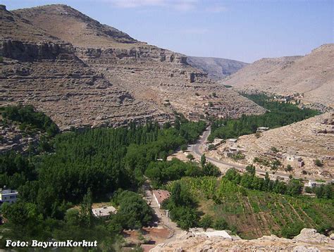 تصادم بين سيارتين في ماردين التركية يؤدي لإصابة 4 أشخاص، بحيث تحقيقات تجري لتحديد سبب الحادث وملابساته.