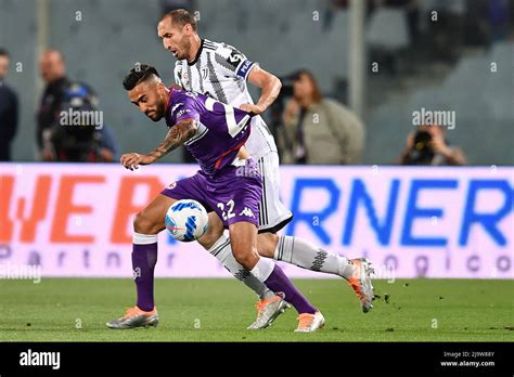 يوفنتوس يفوز 3-0 على كومو ويعلن استعارة نيكو غونزاليس لتعزيز صفوفه في الموسم الجديد.