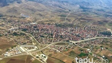 تم إنقاذ حصان بري يعاني من مشكلة في المشي في أفيون قره حصار بفضل مجموعة من محبي الطبيعة.